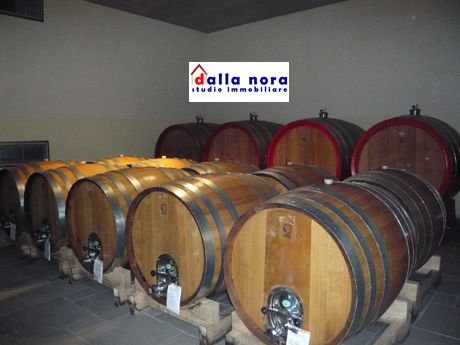 anteprima foto